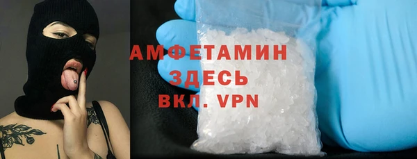 крисы Абаза
