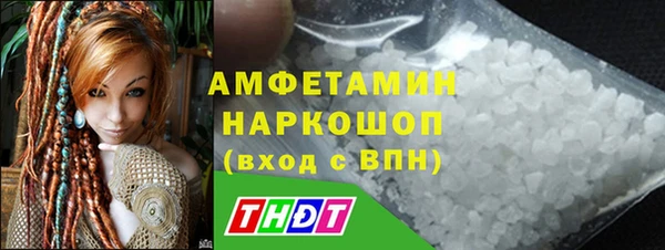 крисы Абаза