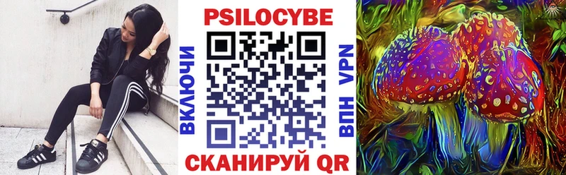 наркотики  Серафимович  Псилоцибиновые грибы мицелий 
